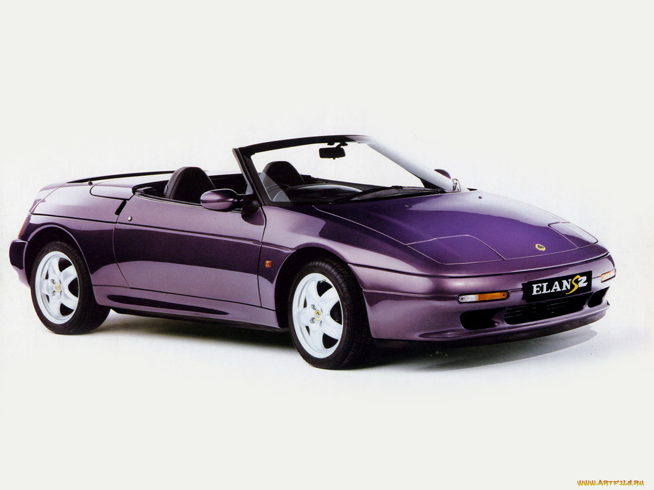 , lotus